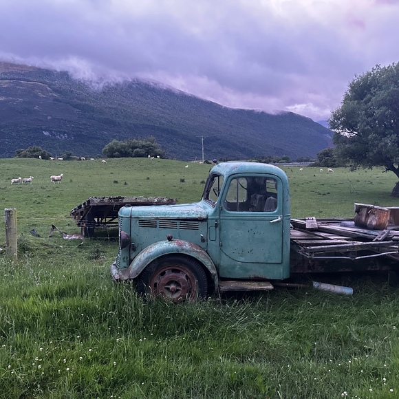 Meet your Posher, Sama - Picture 1 of 1